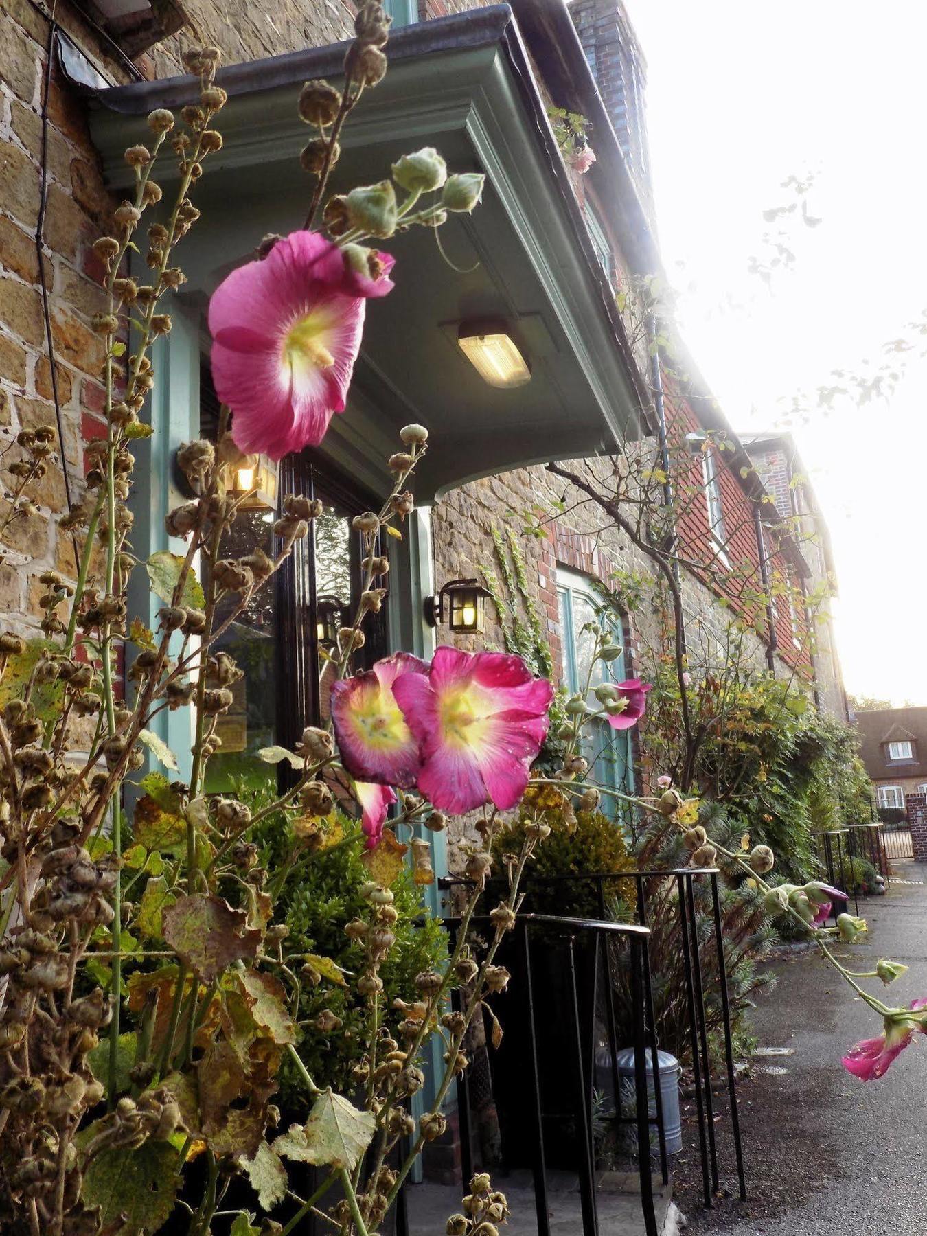 The Angel B&B Chichester Extérieur photo